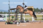 BPP_1403