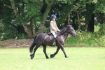 Class 26 and 27: 70cm Working Hunter portfolio