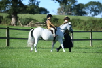 SBM_35295