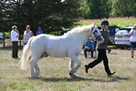 WJ6_4913