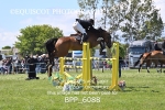 BPP_6088