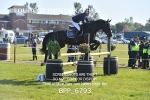 BPP_6793