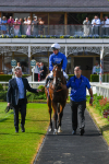 270523-Race 7-Shining Blue-1026