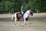 WJ7_7744