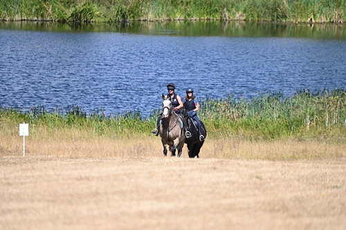 WJ6_8648