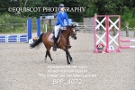 CLASS 12 SUN Club/ Unaffiliated 60cms Open portfolio