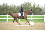 LAD_3637