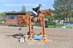 BPP_4490