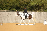 SBM_16447