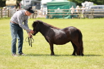 SBM_02457