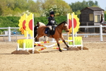 SBM_007874