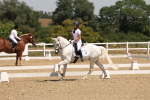 SBM_004414