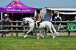 SBM_06040