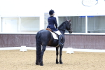 SBM_004510
