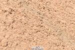 230810A-100604-00212