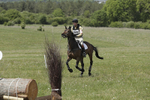 BVHT 140517  IXC -806
