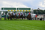 210826-Race 2-Al Nayyir-5259