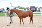 SBM_05749