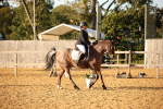 SBM_31458
