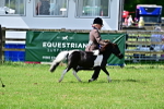 SBM_03669