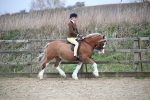SBM_006058