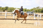SBM_006460