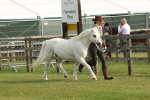 SBM_00504