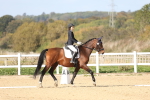 SBM_001405