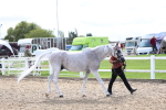 SBM_01910