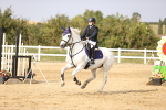 SBM_03772