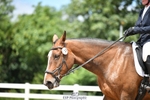 260704-132426-02432