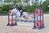 BPP_7839