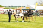 SBM_02641