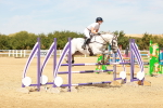 SBM_003647