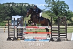BPP_5817