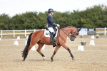 SBM_008871