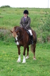 Class 5: Ridden M & M Senior portfolio