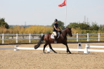 SBM_006412