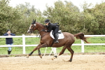 SBM_006878