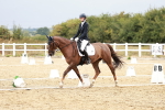 SBM_003798
