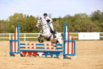 SBM_002221