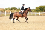 SBM_007203