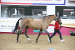SBM_23621