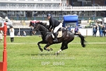 BPP_8846