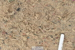 231013A-140530-02493