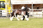 SBM_08547