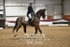 BPP_3032