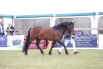 SBM_09768