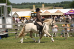 SBM_06903