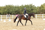 SBM_003752